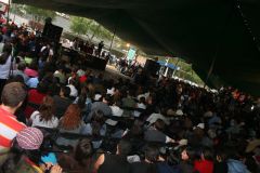 Mayo 2 UAMX