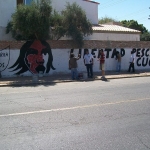 plantoncucapa3