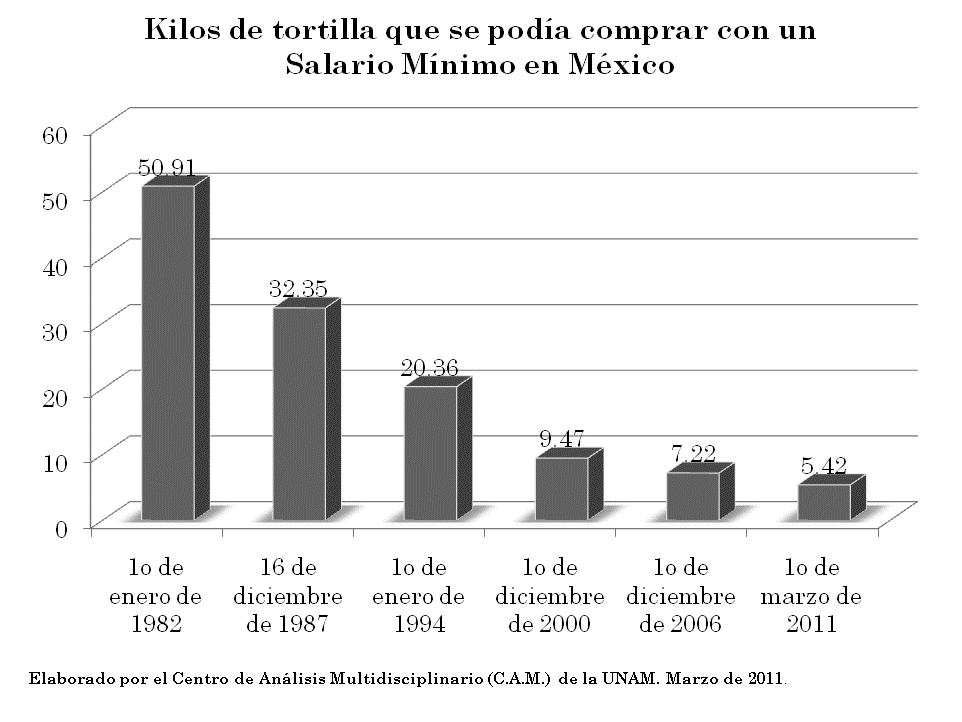 grafica5