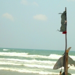 09_playa_bagdad_220507