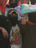 EZLN221206w