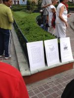 photo3