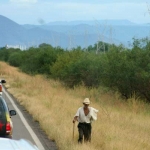 IMG_8570-01