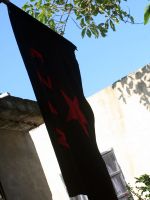 IMG_0862