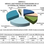 grafica1