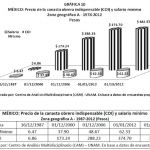 grafica10