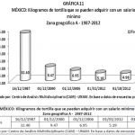 grafica11