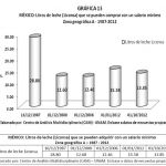 grafica13