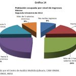 grafica14b