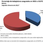 grafica15