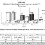 grafica2