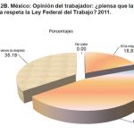 grafica2b