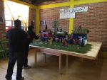 visitasexpocompas24