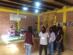 visitasexpocompas35