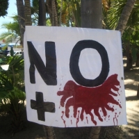 6mazatlan080511
