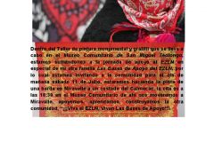 pintasolidaridad
