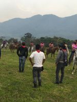 amazonas-zapatistas