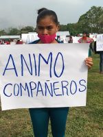 animo