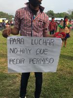 paraluchar