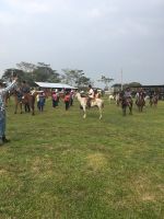 salida1
