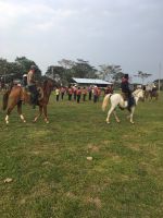 salida3