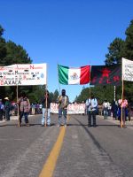 0013_bxgzys