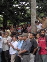 Imagen014