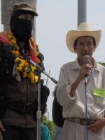coyutla 029