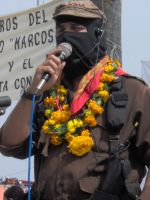 coyutla 033