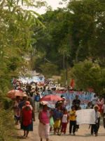 parota4